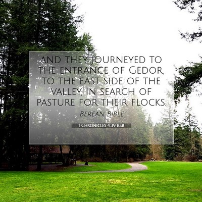 Picture 07 - 1 Chronicles 4:39 BSB - and they journeyed to the entrance of Gedor, to - Bible Verse Picture