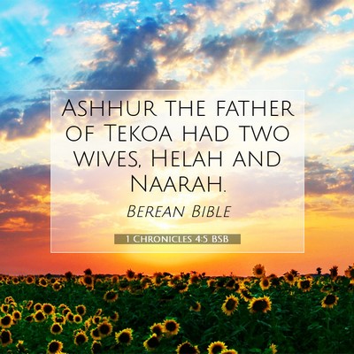Picture 07 - 1 Chronicles 4:5 BSB - Ashhur the father of Tekoa had two wives, Helah - Bible Verse Picture