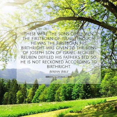 Picture 07 - 1 Chronicles 5:1 BSB - These were the sons of Reuben the firstborn of - Bible Verse Picture