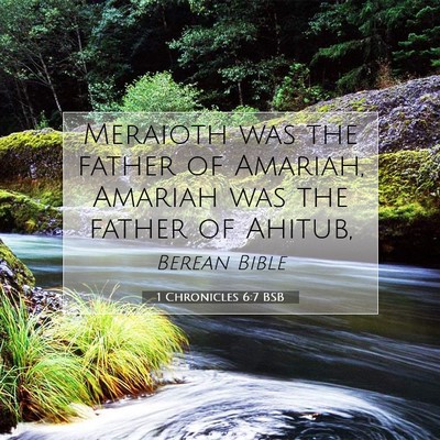 Picture 07 - 1 Chronicles 6:7 BSB - Meraioth was the father of Amariah, Amariah was - Bible Verse Picture
