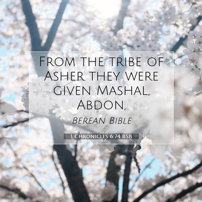 Picture 07 - 1 Chronicles 6:74 BSB - From the tribe of Asher they were given Mashal, - Bible Verse Picture