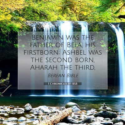 Picture 07 - 1 Chronicles 8:1 BSB - Benjamin was the father of Bela, his firstborn; - Bible Verse Picture