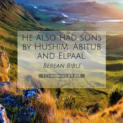 Picture 07 - 1 Chronicles 8:11 BSB - He also had sons by Hushim: Abitub and - Bible Verse Picture