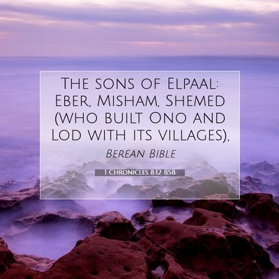 Picture 07 - 1 Chronicles 8:12 BSB - The sons of Elpaal: Eber, Misham, Shemed (who - Bible Verse Picture