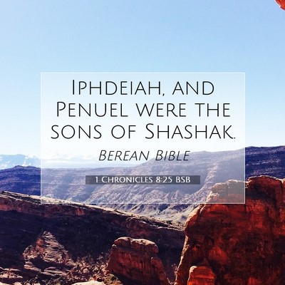 Picture 07 - 1 Chronicles 8:25 BSB - Iphdeiah, and Penuel were the sons of - Bible Verse Picture