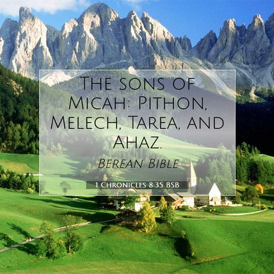 Picture 07 - 1 Chronicles 8:35 BSB - The sons of Micah: Pithon, Melech, Tarea, and - Bible Verse Picture