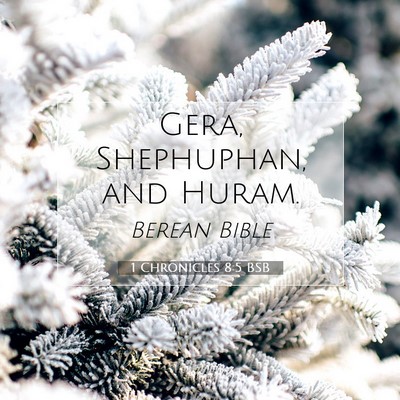 Picture 07 - 1 Chronicles 8:5 BSB - Gera, Shephuphan, and - Bible Verse Picture
