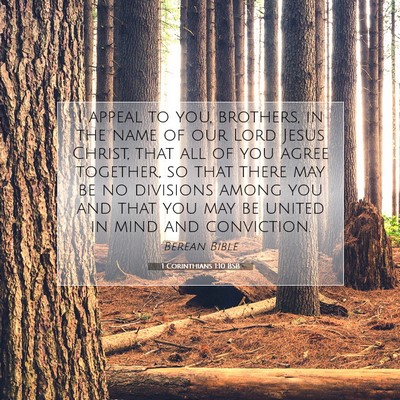 Picture 07 - 1 Corinthians 1:10 BSB - I appeal to you, brothers, in the name of our - Bible Verse Picture