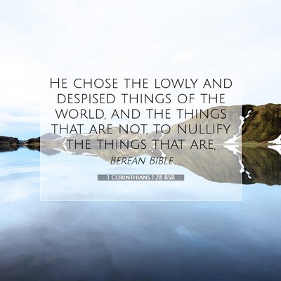 Picture 07 - 1 Corinthians 1:28 BSB - He chose the lowly and despised things of the - Bible Verse Picture