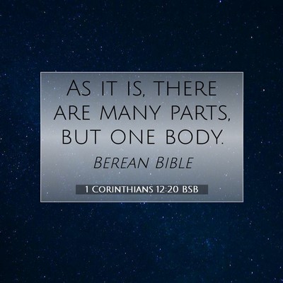 Picture 07 - 1 Corinthians 12:20 BSB - As it is, there are many parts, but one - Bible Verse Picture