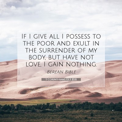 Picture 07 - 1 Corinthians 13:3 BSB - If I give all I possess to the poor and exult in - Bible Verse Picture