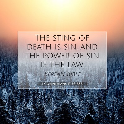 Picture 07 - 1 Corinthians 15:56 BSB - The sting of death is sin, and the power of sin - Bible Verse Picture