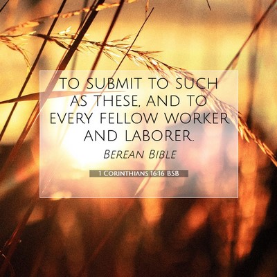 Picture 07 - 1 Corinthians 16:16 BSB - to submit to such as these, and to every fellow - Bible Verse Picture