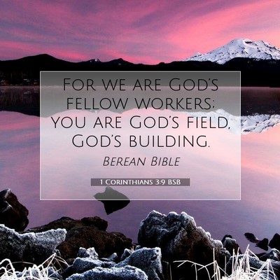 Picture 07 - 1 Corinthians 3:9 BSB - For we are God’s fellow workers; you are - Bible Verse Picture