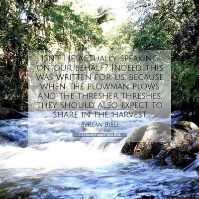 Picture 07 - 1 Corinthians 9:10 BSB - Isn’t He actually speaking on our behalf? - Bible Verse Picture