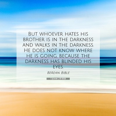 Picture 07 - 1 John 2:11 BSB - But whoever hates his brother is in the darkness - Bible Verse Picture