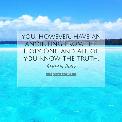 Picture 07 - 1 John 2:20 BSB - You, however, have an anointing from the Holy - Bible Verse Picture