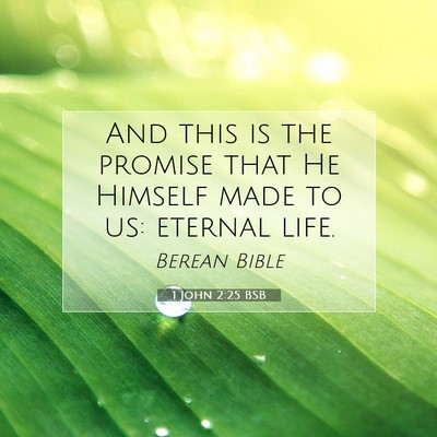 Picture 07 - 1 John 2:25 BSB - And this is the promise that He Himself made to - Bible Verse Picture