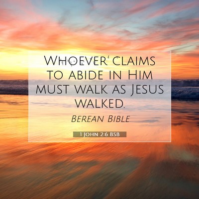Picture 07 - 1 John 2:6 BSB - Whoever claims to abide in Him must walk as Jesus - Bible Verse Picture