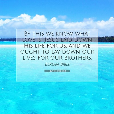 Picture 07 - 1 John 3:16 BSB - By this we know what love is: Jesus laid down His - Bible Verse Picture