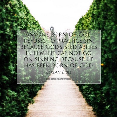 Picture 07 - 1 John 3:9 BSB - Anyone born of God refuses to practice sin, - Bible Verse Picture