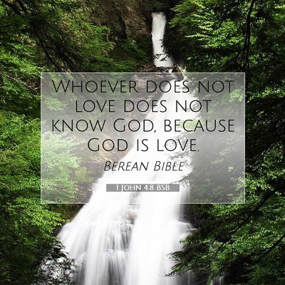 Picture 07 - 1 John 4:8 BSB - Whoever does not love does not know God, because - Bible Verse Picture