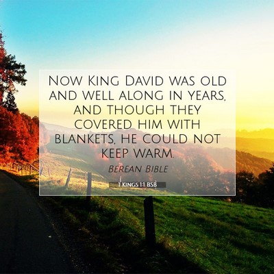 Picture 07 - 1 Kings 1:1 BSB - Now King David was old and well along in years, - Bible Verse Picture