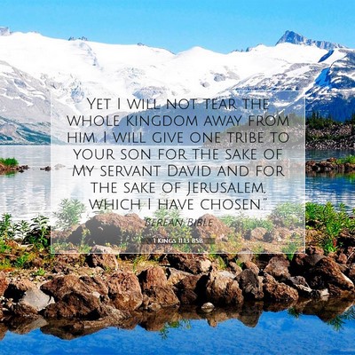 Picture 07 - 1 Kings 11:13 BSB - Yet I will not tear the whole kingdom away from - Bible Verse Picture
