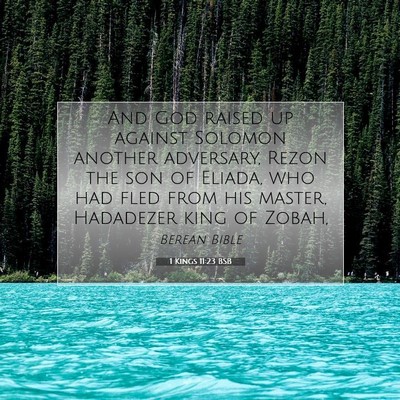 Picture 07 - 1 Kings 11:23 BSB - And God raised up against Solomon another - Bible Verse Picture