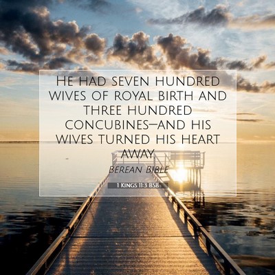 Picture 07 - 1 Kings 11:3 BSB - He had seven hundred wives of royal birth and - Bible Verse Picture