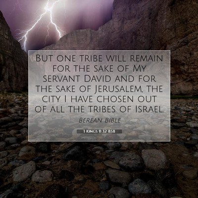 Picture 07 - 1 Kings 11:32 BSB - But one tribe will remain for the sake of My - Bible Verse Picture