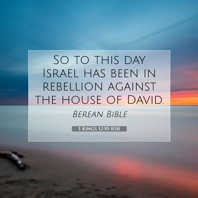 Picture 07 - 1 Kings 12:19 BSB - So to this day Israel has been in rebellion - Bible Verse Picture