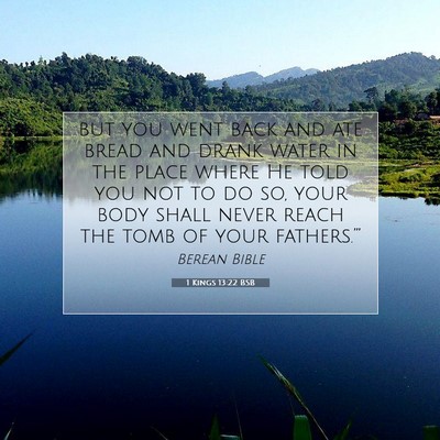 Picture 07 - 1 Kings 13:22 BSB - but you went back and ate bread and drank water - Bible Verse Picture