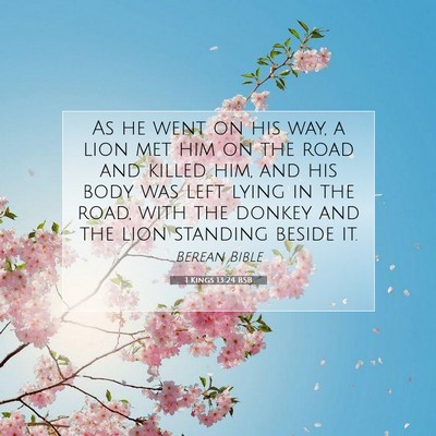 Picture 07 - 1 Kings 13:24 BSB - As he went on his way, a lion met him on the road - Bible Verse Picture