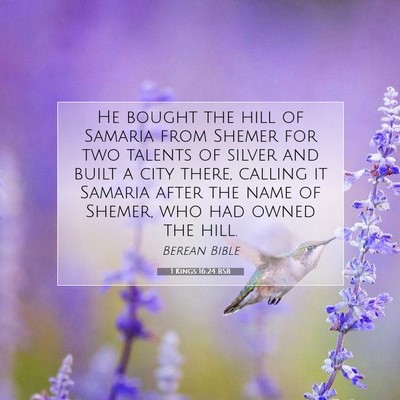 Picture 07 - 1 Kings 16:24 BSB - He bought the hill of Samaria from Shemer for two - Bible Verse Picture