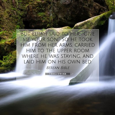 Picture 07 - 1 Kings 17:19 BSB - But Elijah said to her, “Give me your son.” - Bible Verse Picture