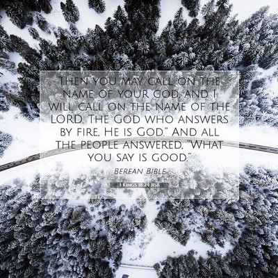Picture 07 - 1 Kings 18:24 BSB - Then you may call on the name of your god, and I - Bible Verse Picture