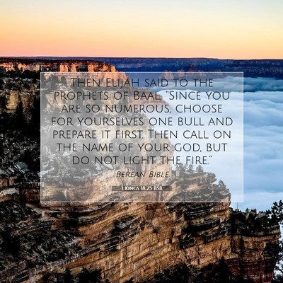 Picture 07 - 1 Kings 18:25 BSB - Then Elijah said to the prophets of Baal, - Bible Verse Picture
