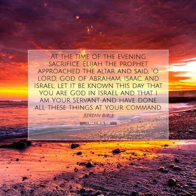 Picture 07 - 1 Kings 18:36 BSB - At the time of the evening sacrifice, Elijah the - Bible Verse Picture