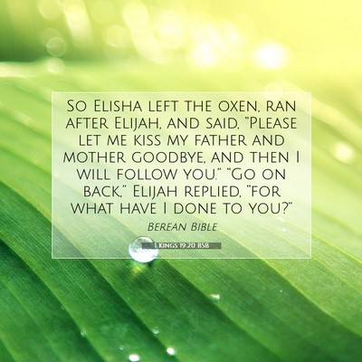 Picture 07 - 1 Kings 19:20 BSB - So Elisha left the oxen, ran after Elijah, and - Bible Verse Picture