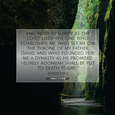 Picture 07 - 1 Kings 2:24 BSB - And now, as surely as the LORD lives—the One - Bible Verse Picture