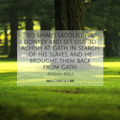 Picture 07 - 1 Kings 2:40 BSB - So Shimei saddled his donkey and set out to - Bible Verse Picture