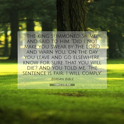 Picture 07 - 1 Kings 2:42 BSB - the king summoned Shimei and said to him, “Did - Bible Verse Picture