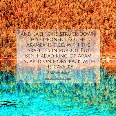 Picture 07 - 1 Kings 20:20 BSB - and each one struck down his opponent. So the - Bible Verse Picture