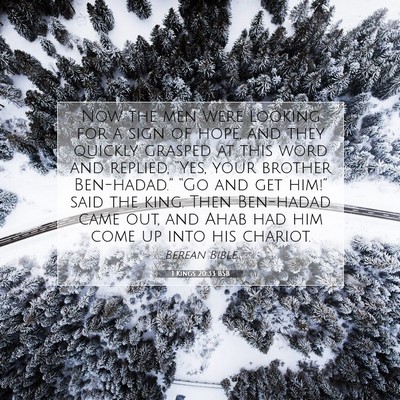Picture 07 - 1 Kings 20:33 BSB - Now the men were looking for a sign of hope, and - Bible Verse Picture