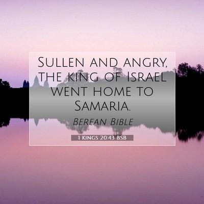 Picture 07 - 1 Kings 20:43 BSB - Sullen and angry, the king of Israel went home to - Bible Verse Picture