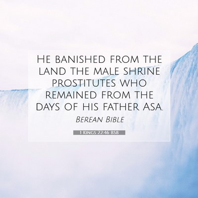 Picture 07 - 1 Kings 22:46 BSB - He banished from the land the male shrine - Bible Verse Picture