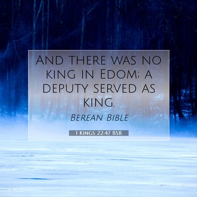 Picture 07 - 1 Kings 22:47 BSB - And there was no king in Edom; a deputy served as - Bible Verse Picture