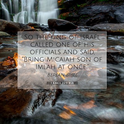 Picture 07 - 1 Kings 22:9 BSB - So the king of Israel called one of his officials - Bible Verse Picture