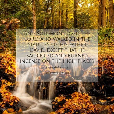 Picture 07 - 1 Kings 3:3 BSB - And Solomon loved the LORD and walked in the - Bible Verse Picture